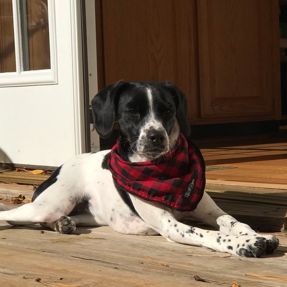 Meet your Posher, Vicki - Picture 2 of 2